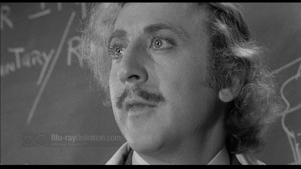 BDDefinition-YoungFrankenstein-a-1080