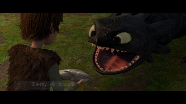 BDDefinition-TrainYourDragon-4-1080