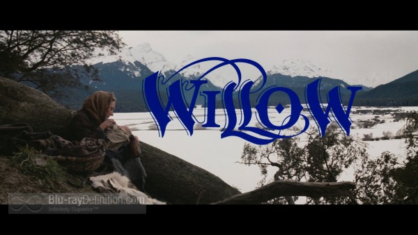 Willow-BD_03