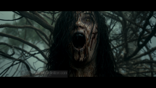 Evil-Dead-2013-BD_6