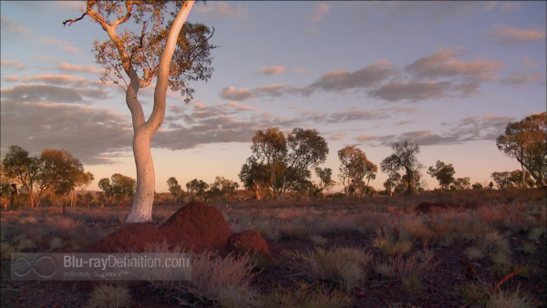 Nova-Australias-First-4-Billion-Years-BD_01