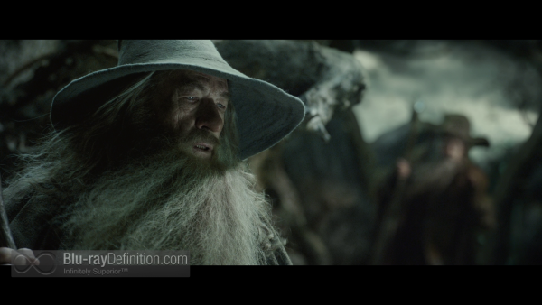 Hobbit-Desolation-of-Smaug-BD_18