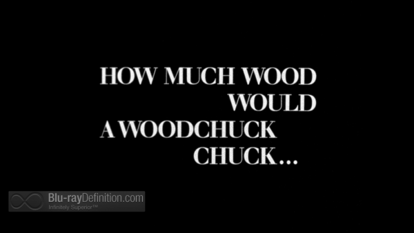 How-Much-Wood-Would-A-Woodchuck-Chuck-UK-BD_2