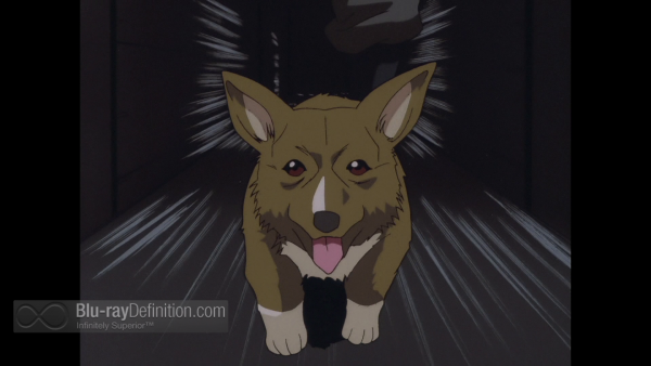 Cowboy-Bebop-Complete-Series-BD_08