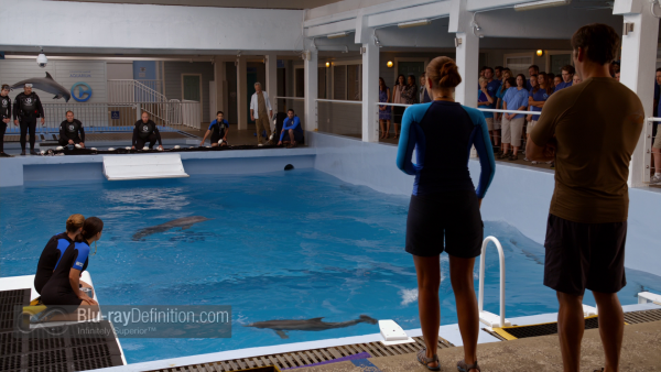 Dolphin-Tale-2-BD_20