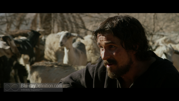 Exodus-gods-kings-BD_06