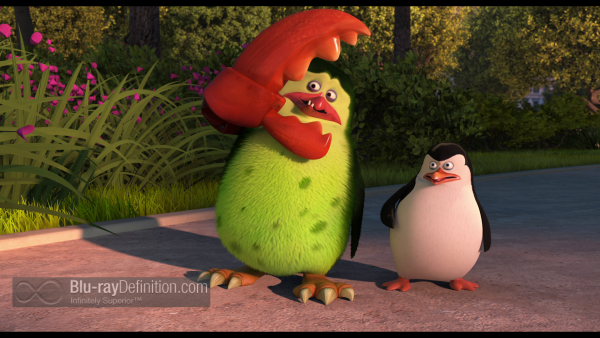 Penguins-of-Madagascar-BD_16