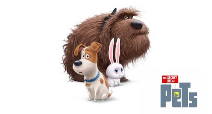 The Secret Life of Pets Wallpaper