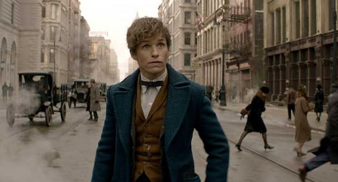 Eddie Redmayne in Fantastic Beasts and Where to Find Them (2016)