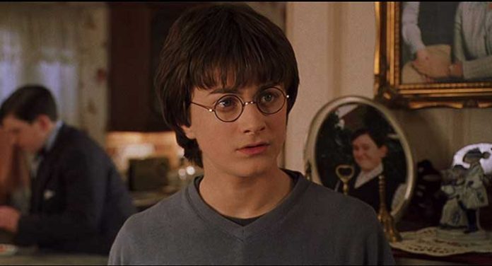 Daniel Radcliffe in Harry Potter and the Chamber of Secrets (2002)