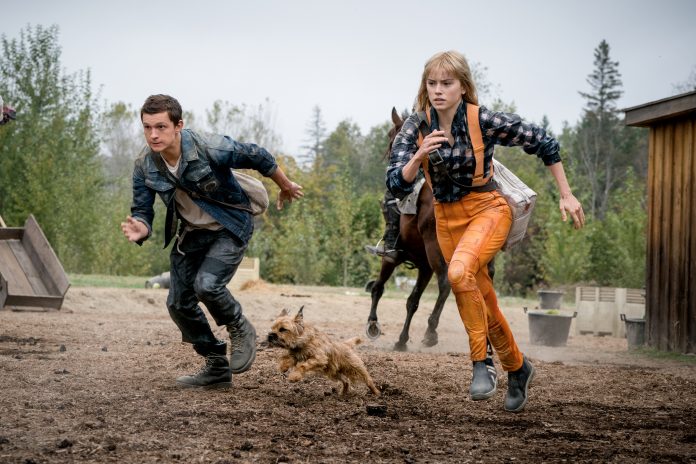 Tom Holland as Todd Hewitt and Daisy Ridley as Viola Eade in Chaos Walking. Photo Credit: Murray Close