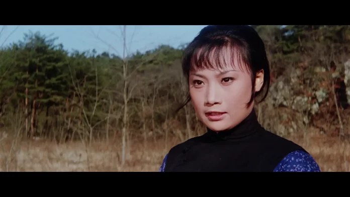 Angela Mao in Lady Whirlwind (1972)