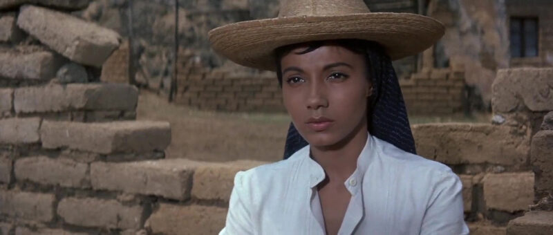 Rosenda Monteros in The Magnificent Seven (1960)