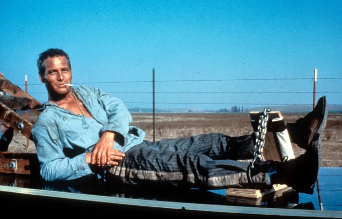 Paul Newman in Cool Hand Luke (1967)