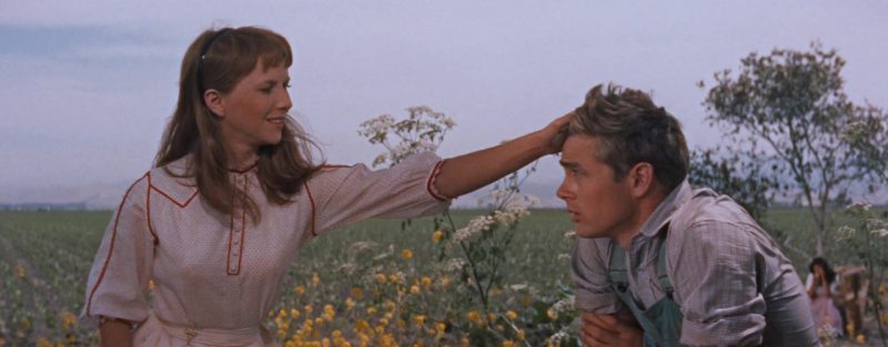 James Dean and Julie Harris in East of Eden (1955)