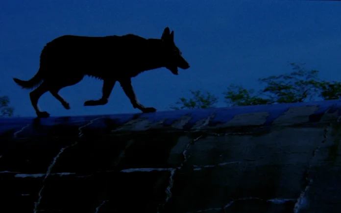 A Dog Called... Vengeance Blu-ray (Severin)