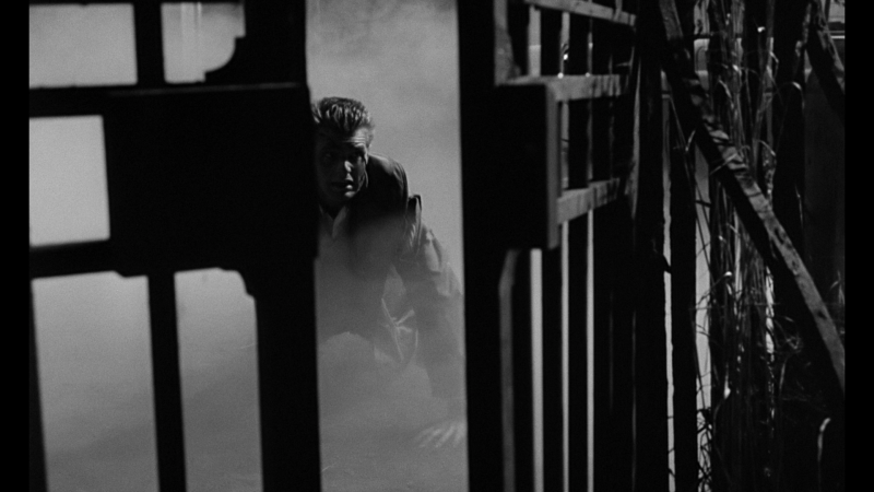 The City of the Dead (1960)