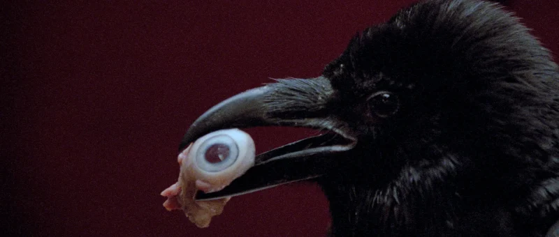 Opera (1987)