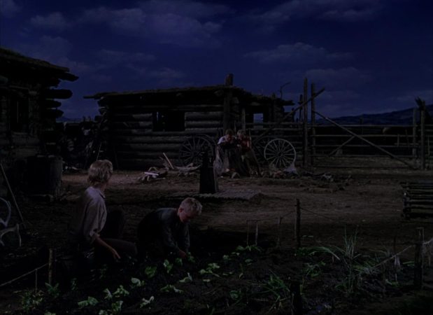 Shane (1953)