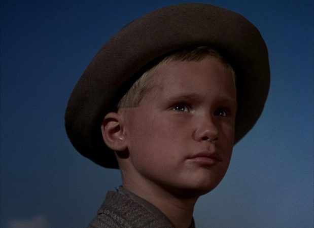 Brandon De Wilde in Shane (1953)