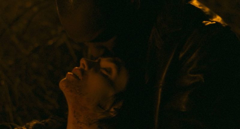 Béatrice Dalle in Trouble Every Day (2001)