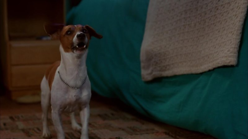 Max in The Mask (1994)