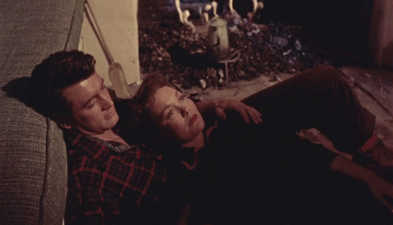 Rock Hudson and Jane Wyman in All That Heaven Allows (1955)